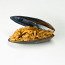 Muscheln Frites