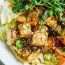 Bio-Tofu