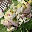 Popeye-Salat